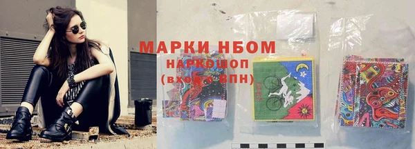 шишки Осташков