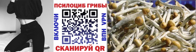 Галлюциногенные грибы MAGIC MUSHROOMS  Чернушка 